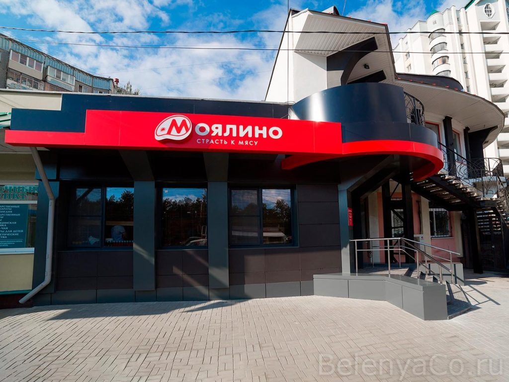 Фасады розничных магазинов Моялино в Липецке