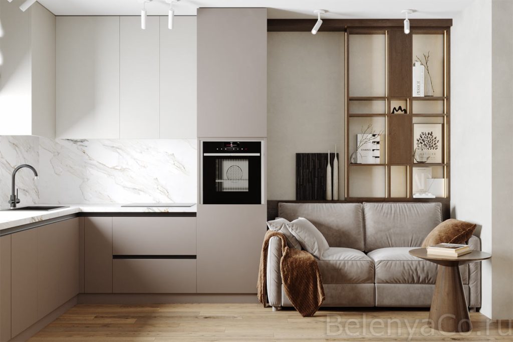 Кухня-гостиная